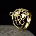 Bague or Wolffia