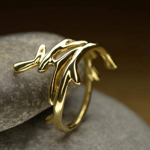 [RA12.1G] Bague or Ramus