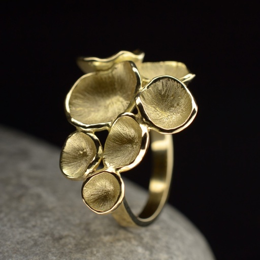 [PN12.12G] Bague or Pollen XL